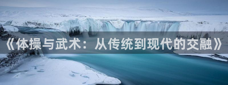 蓝狮在线体育凯捷平台主管：《体操与武术：从传统到现代的交融》