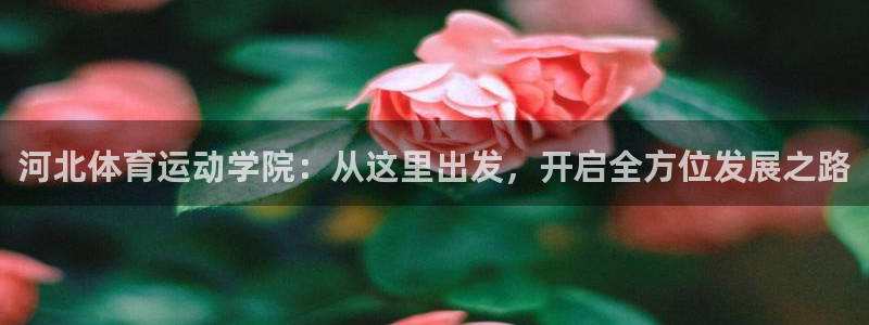 蓝狮在线体育凯捷平台注册：河北体育运动学院：从这里出发，开启全方位发展之路