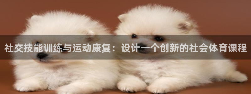 蓝狮在线体育官网注册：社交技能训练与运动康复：设计一个创新的社会体育课程