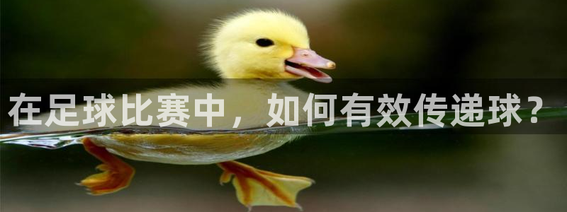 蓝狮在线5招商：在足球比赛中，如何有效传递球？
