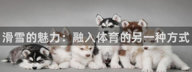 蓝狮在线4开户：滑雪的魅力：融入体育的另一种方式