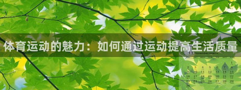 蓝狮在线体育：体育运动的魅力：如何通过运动提高生活质量
