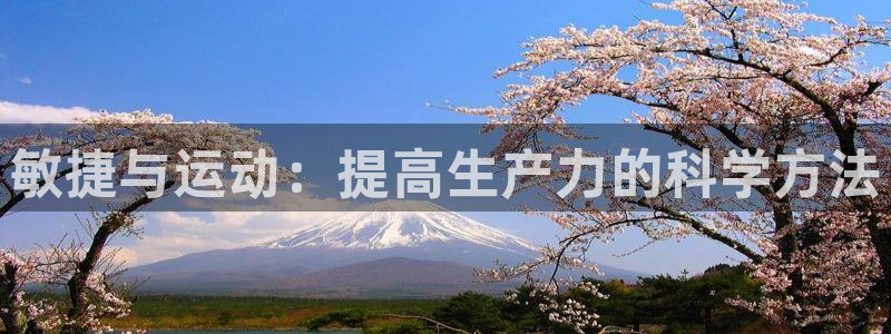 蓝狮在线3代理：敏捷与运动：提高生产力的科学方法