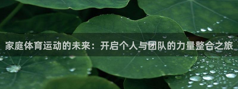 东莞市意昂电子科技有限公司：家庭体育运动的未来：开启个人与团队的力量整合之旅