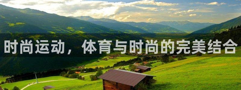 上海蓝狮在线汽车电子有限公司：时尚运动，体育与时尚的完美结合