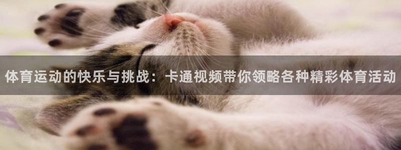 意昂官网：体育运动的快乐与挑战：卡通视频带你领略各种精彩体育活动