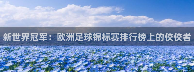蓝狮在线体育免费注册入口：新世界冠军：欧洲足球锦标赛排行榜上的佼佼者