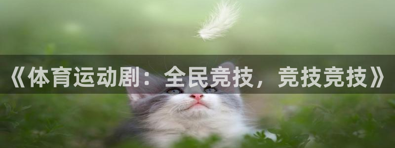蓝狮在线4开户
