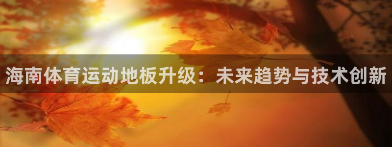 蓝狮在线f平台注册：海南体育运动地板升级：未来趋势与技术创新