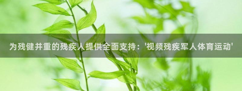 蓝狮在线招商：为残健并重的残疾人提供全面支持：\'视频残疾军人体育运动\'