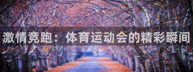 蓝狮在线体育app下载：激情竞跑：体育运动会的精彩瞬间