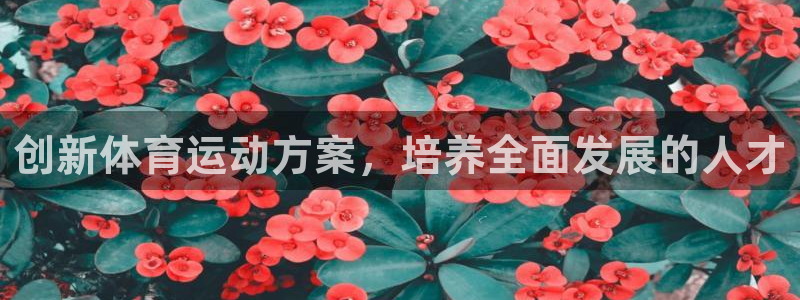 蓝狮在线体育eon：创新体育运动方案，培养全面发展的人才