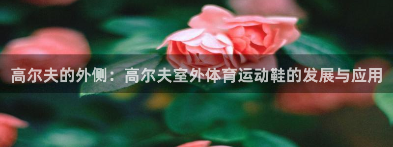 杭州意昂科技有限公司：高尔夫的外侧：高尔夫室外体育运动鞋的发展与应用