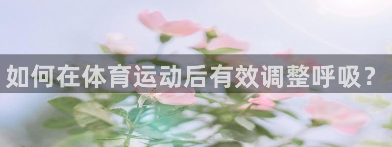 蓝狮在线体育f开号：如何在体育运动后有效调整呼吸？