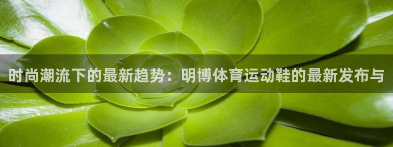 意昂体育：时尚潮流下的最新趋势：明博体育运动鞋的最新发布与