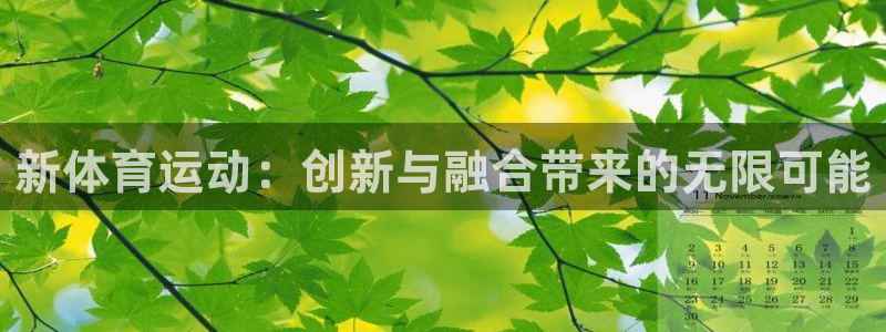 意昂4平台：新体育运动：创新与融合带来的无限可能