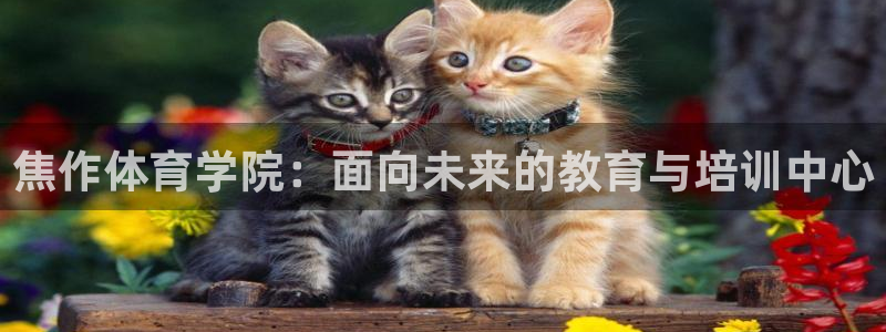 蓝狮在线体育平台总代理：焦作体育学院：面向未来的教育与培训中心