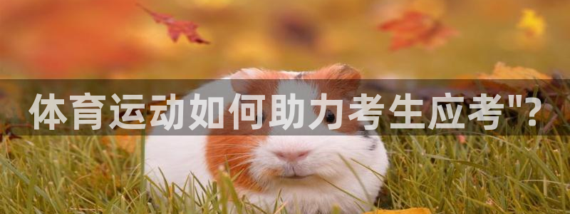 蓝狮在线3官网登录：体育运动如何助力考生应考\