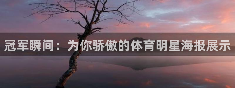 蓝狮在线集团：冠军瞬间：为你骄傲的体育明星海报展示