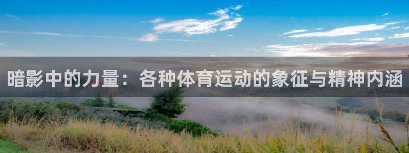 意昂3平台注册：暗影中的力量：各种体育运动的象征与精神内涵