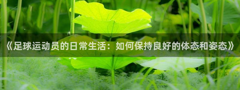 福建蓝狮在线机电股份公司：《足球运动员的日常生活：如何保持良好的体态和姿态》
